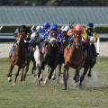 Major Horse Racing Events in Florida