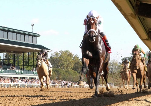 Understanding Horse Racing Laws in Florida